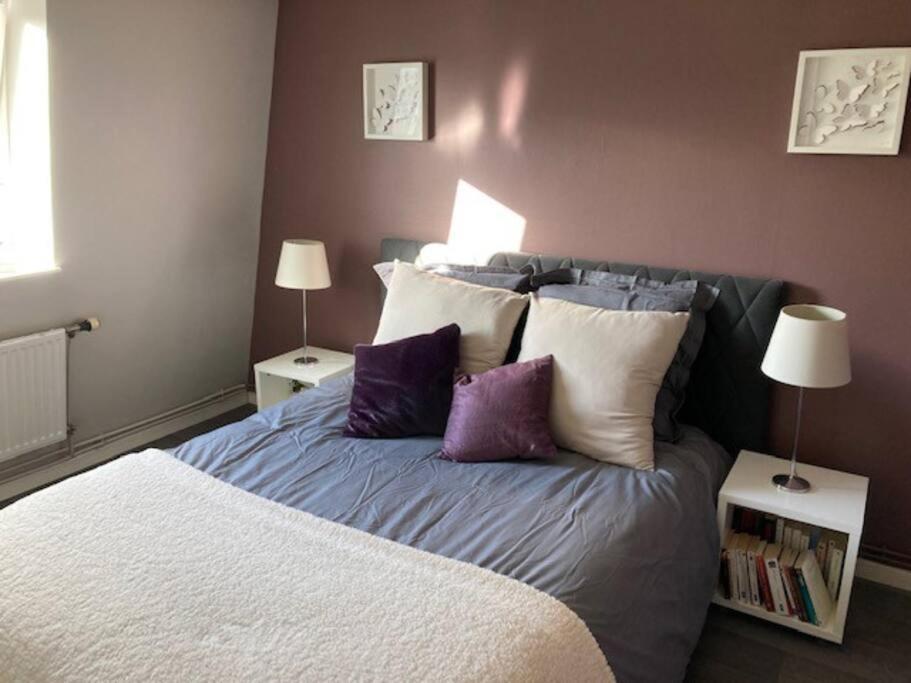 Agreable Et Spacieuse Maison Centre Ville Saint-Omer ภายนอก รูปภาพ